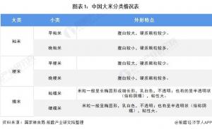 行业深度!一文带你了解2021年中国大米行业市场现状,竞争格局及发展趋势