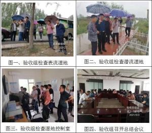 灵武市东沟人工湿地项目顺利完成项目验收